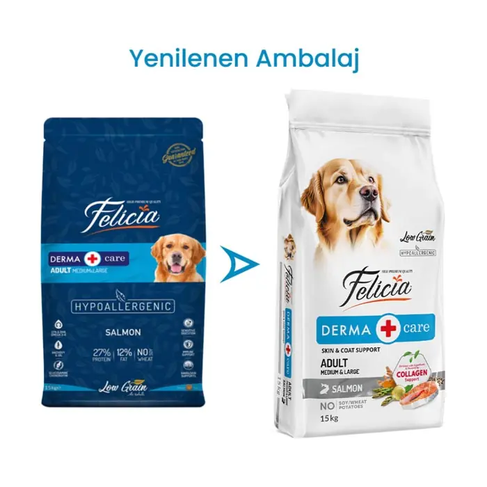 FELİCİA AZ TAHILLI YETİŞKİN SOMONLU MEDİUM LARGE BREED HYPOALLERGENİC KÖPEK MAMASI 15 KG
