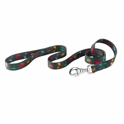FERPLAST CLUP CİRCUS KÖPEK SEVK TASMASI 25 MM X 120 CM