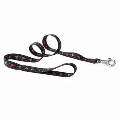 FERPLAST CLUP KANDİNSKY KÖPEK SEVK TASMASI 15 MM X120 CM