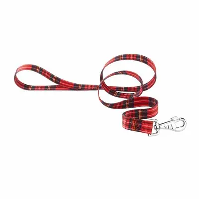 FERPLAST CLUP TARTAN KÖPEK SEVK TASMASI 20 MM X 120 CM