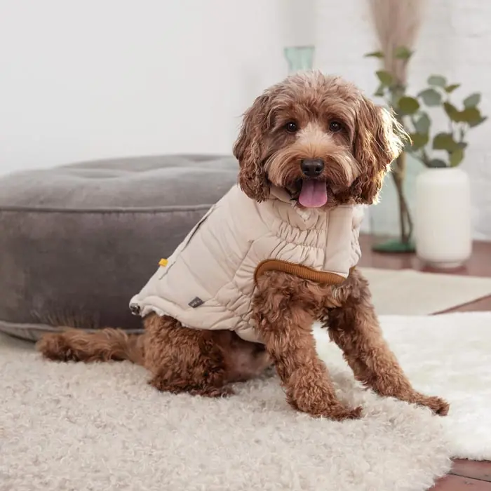 GF PET ARCTİC PARKA KÖPEK MONTU