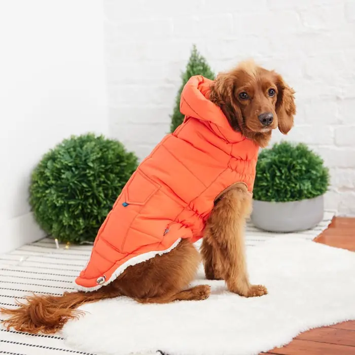GF PET SUPER PUFF PARKA KÖPEK MONTU