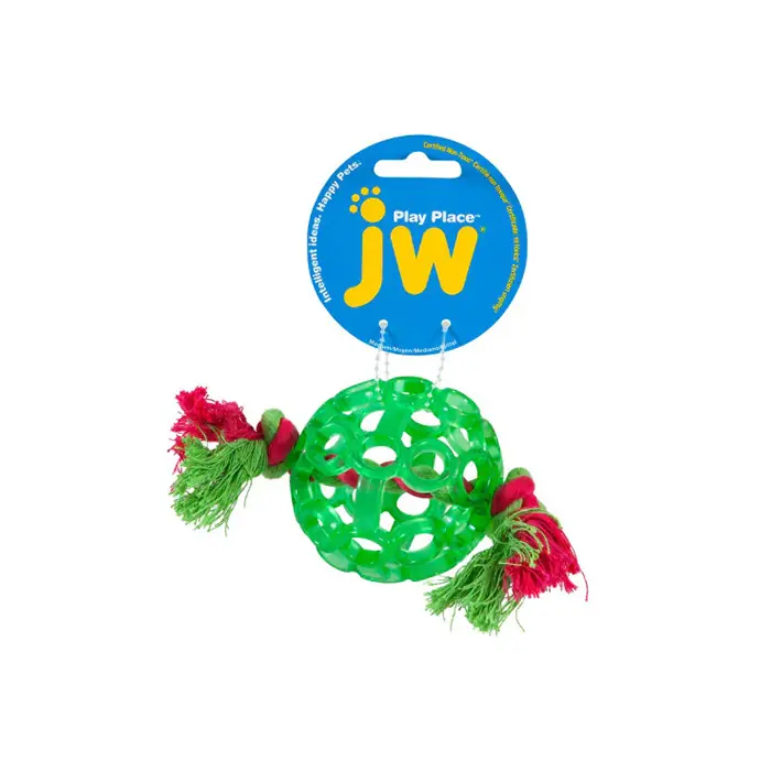 JW LATTİCE DİŞ İPLİ KÖPEK OYUN TOPU