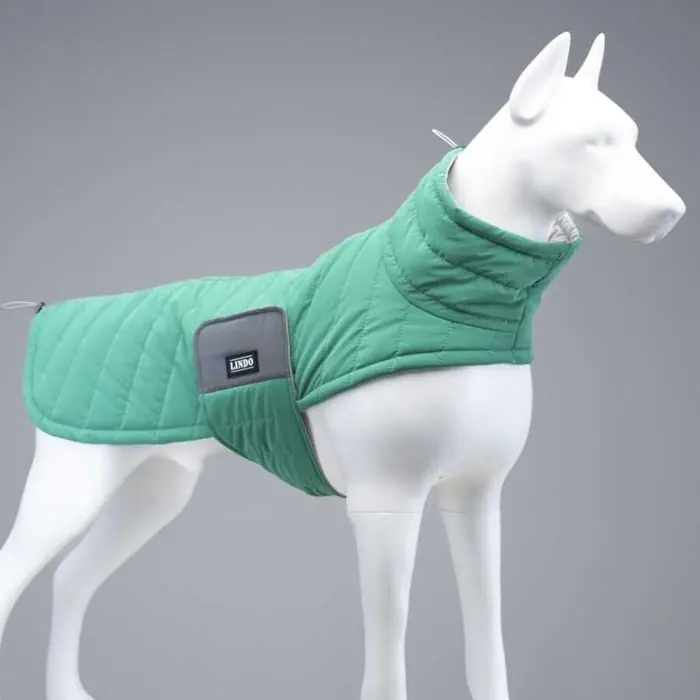 LİNDO AİR PUFF GREEN APPLE KÖPEK MONTU