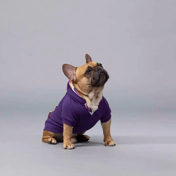 LİNDO INDİAN KÖPEK SWEATSHİRT
