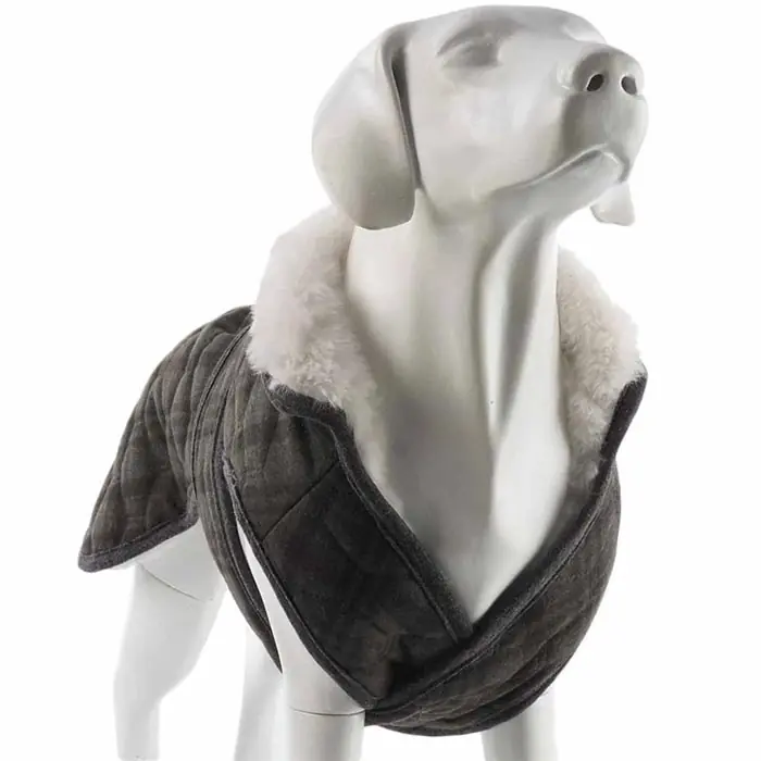 LİNDO LUXURY LONDON EKOSE KÖPEK MONTU