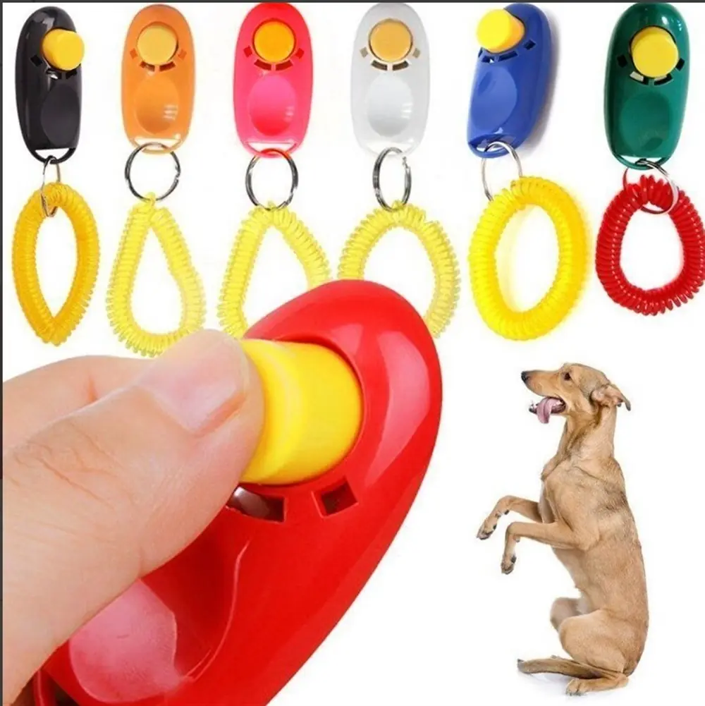 LİON KÖPEK EĞİTİM CLİCKER