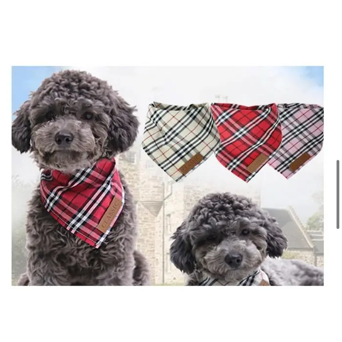 LİON PET BANDANA MEDİUM 58X28CM