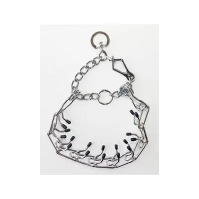 LİON PET DİKENLİ EĞİTİM TASMASI 3,5*55 CM