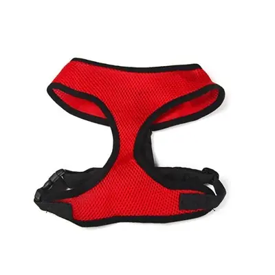 LİON PET KÖPEK GÖĞÜS TASMASI SMALL
