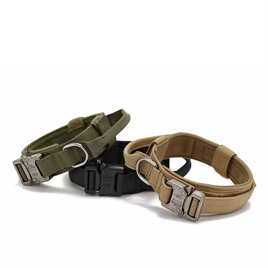 LİON PET METAL KLİPSLİ KÖPEK BOYUN TASMASI LARGE