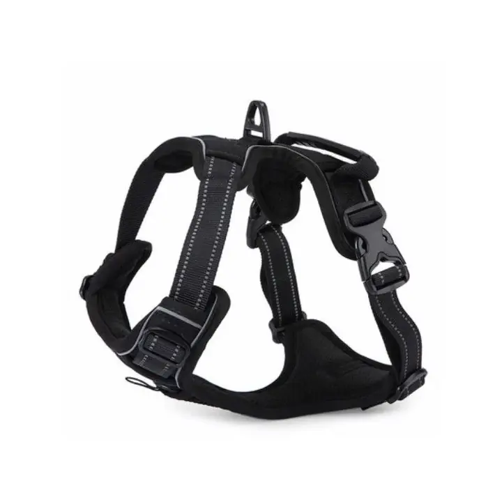 LİON PET RX004 KÖPEK GÖĞÜS TASMASI LARGE 50-80CM