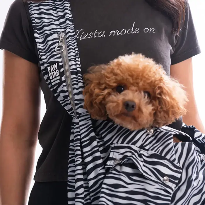 PAWSTAR CROSSBODY LODWAR STREET KEDİ KÖPEK TAŞIMA ÇANTASI