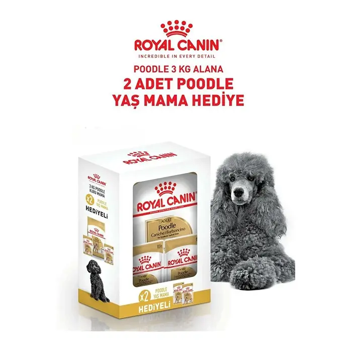 ROYAL CANİN BOX POODLE ADULT KÖPEK MAMASI 3 KG + 2 ADET YAŞ MAMA HEDİYELİ
