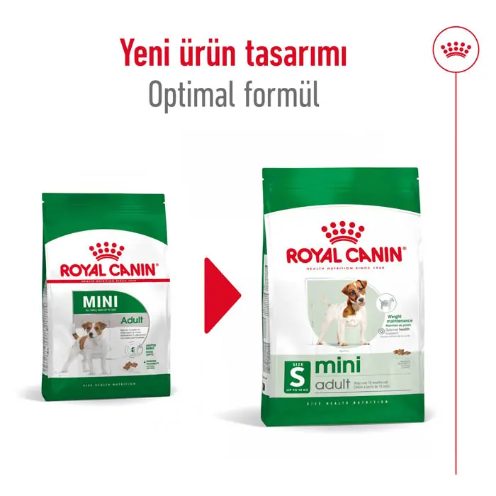 ROYAL CANİN MİNİ ADULT 4 KG