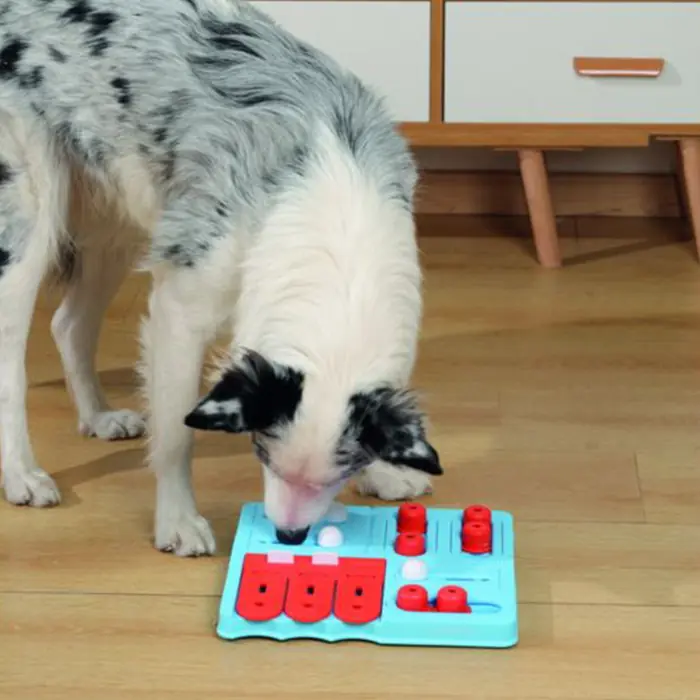 M-PETS BRAİNY CRUİE PUZZLE KÖPEK ZEKA OYUNCAĞI 4.SEVİYE