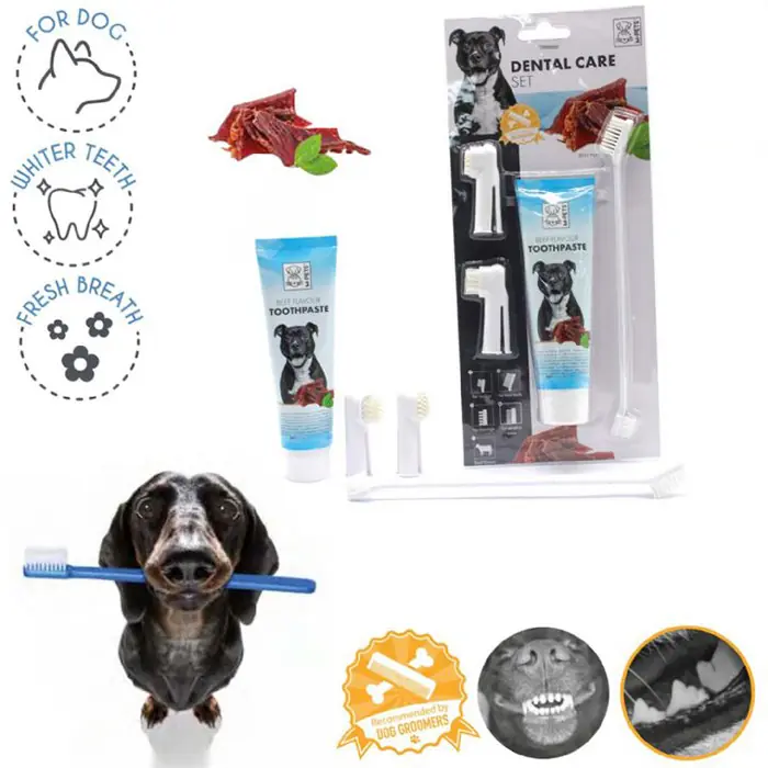 M-PETS DENTAL CARE KÖPEKLER İÇİN BİFTEKLİ DİŞ MACUNU FIRÇA SETİ