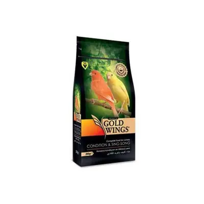 GOLD WİNGS CONDİTİON &SİNG-SONG