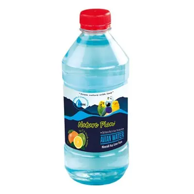 NATURE PLAN MİNERALLİ İÇME SUYU 500ML