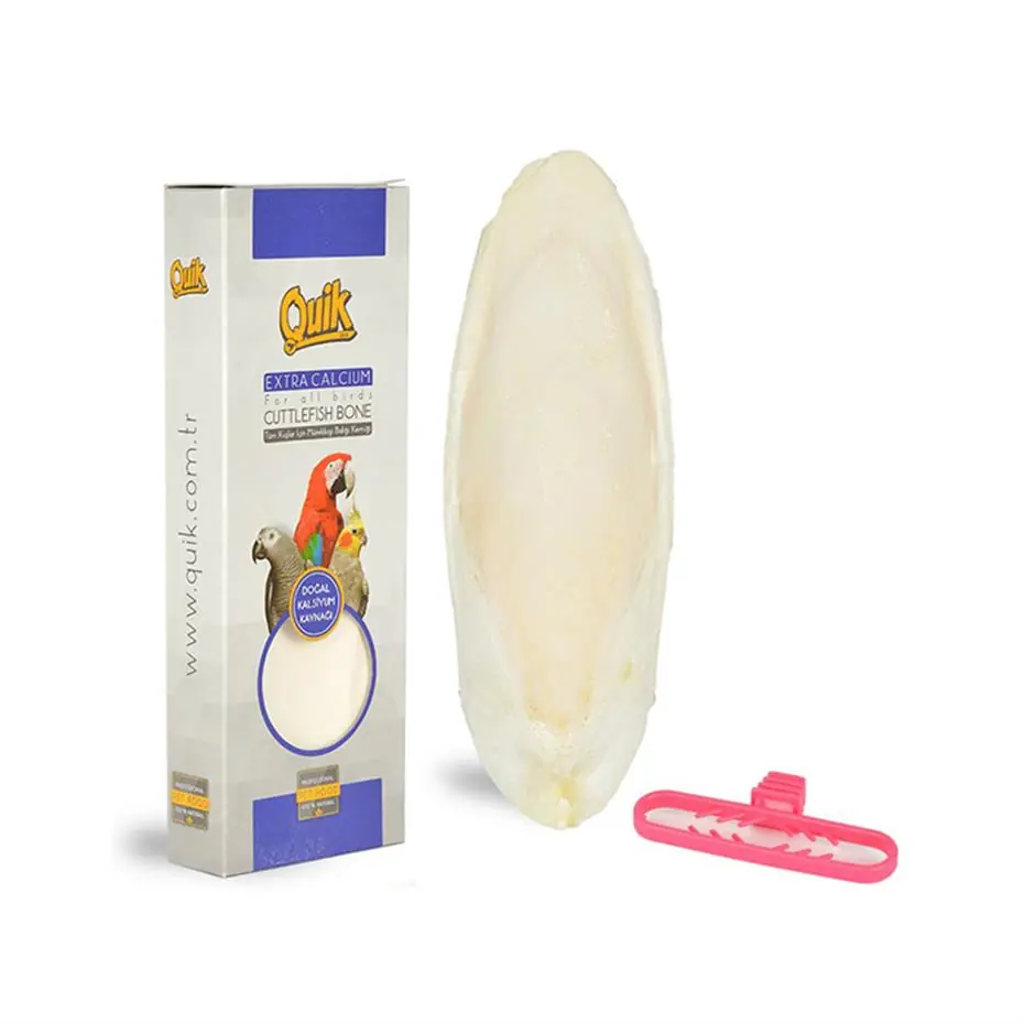 QUİK MÜREKKEP BALIĞI KEMİĞİ BÜYÜK BOY